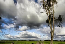 尼克斯主场胜骑士，助教菜单贡献分