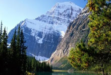 中场厮杀激烈，双方实力均衡难分伯仲——沉浸式观赛新体验