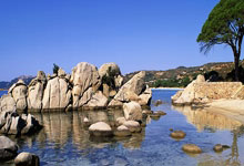 匈牙利队取得关键胜利，晋级欧洲杯预选赛八强